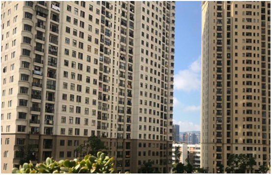 普洱香洲心海洲花圃.png